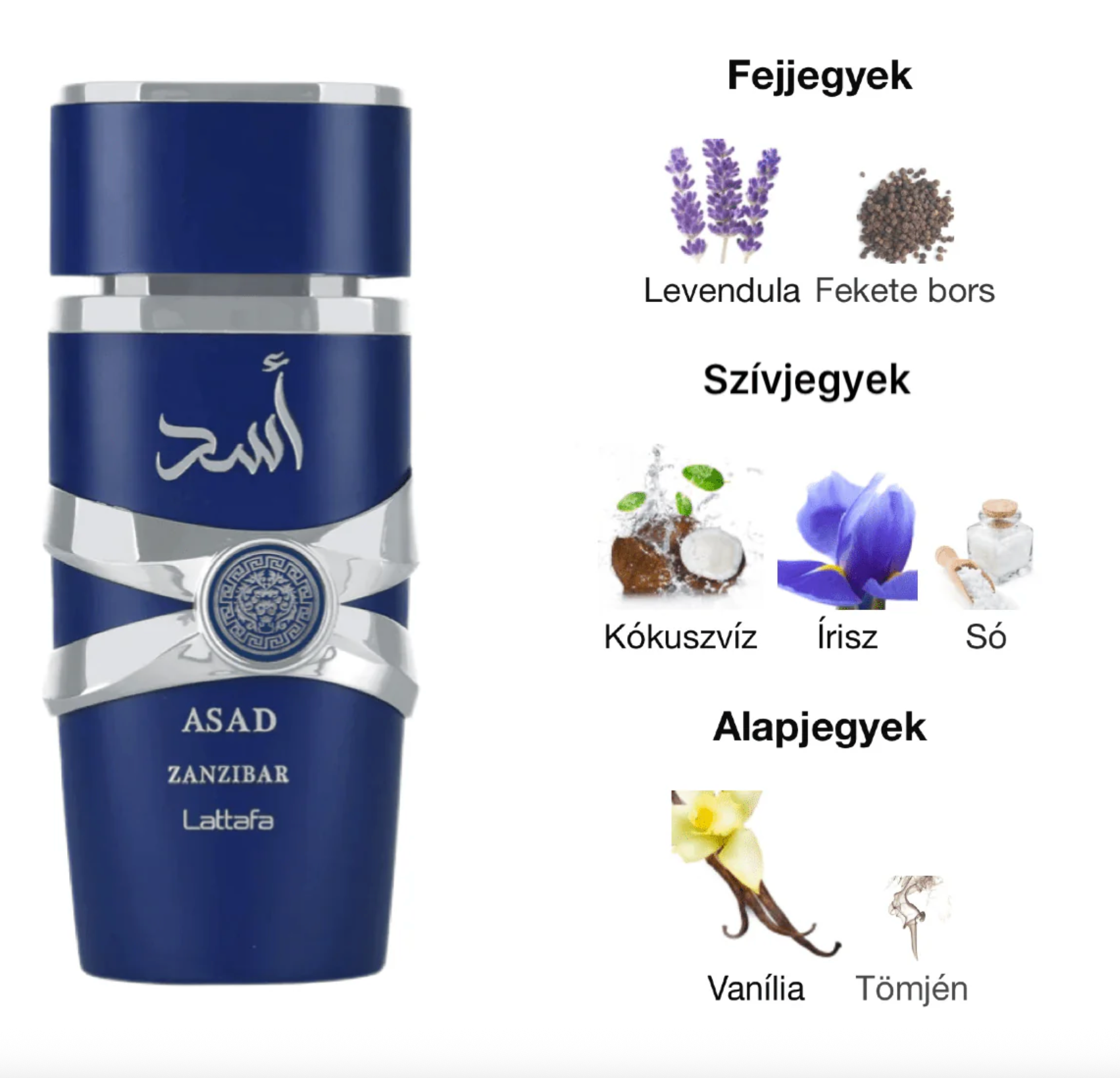 Lattafa – Asad Zanzibar