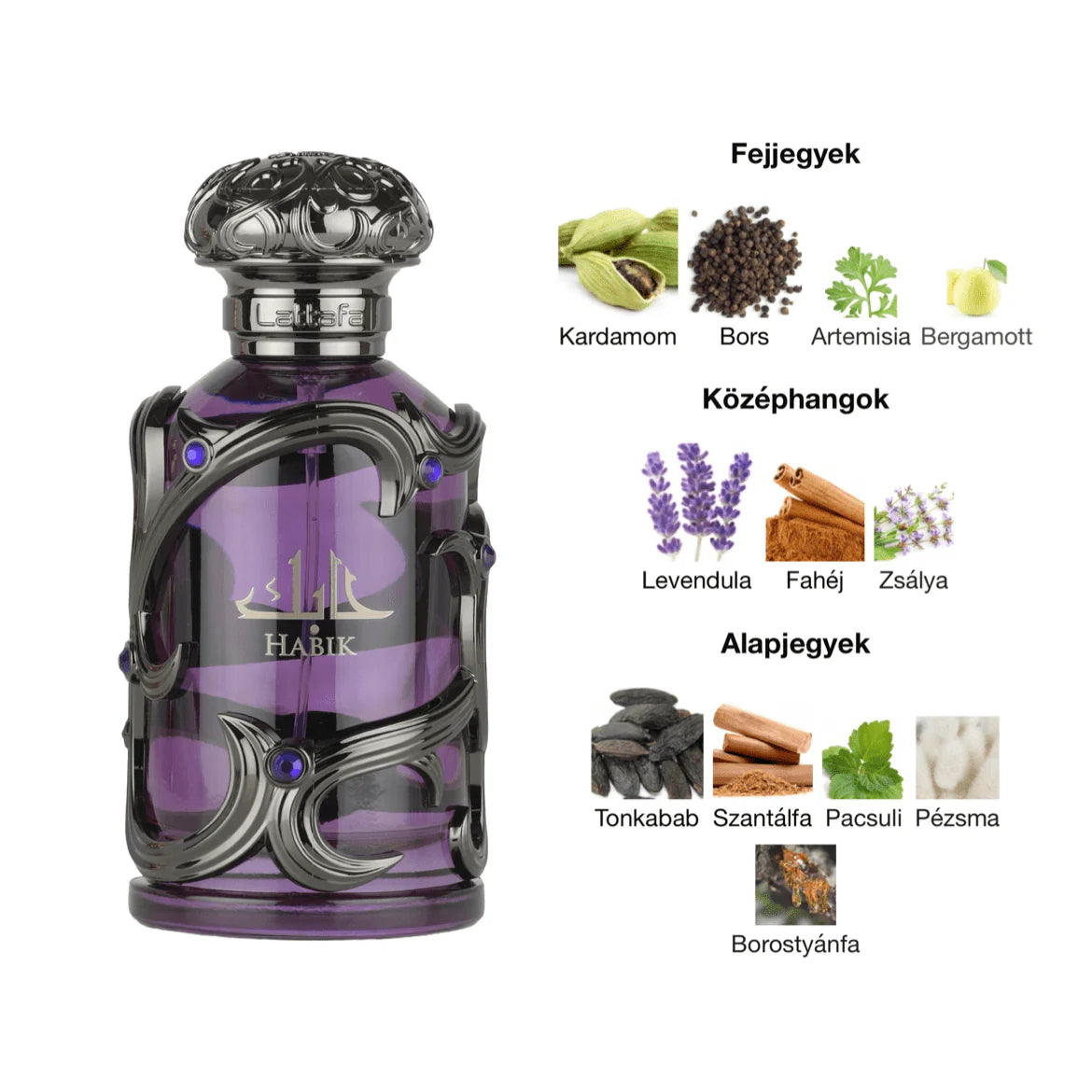 Lattafa – Habik (For Men)